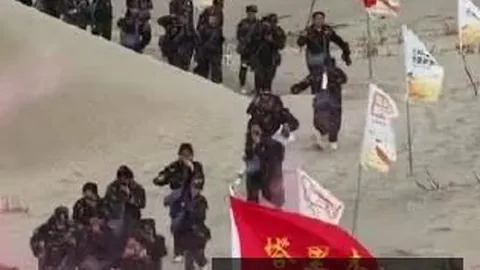电竞战队转会，开云体育，新动态，新赛季阵容猜想